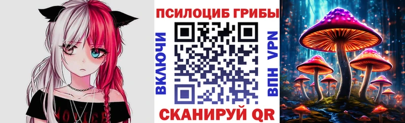 Псилоцибиновые грибы Cubensis  Суздаль 